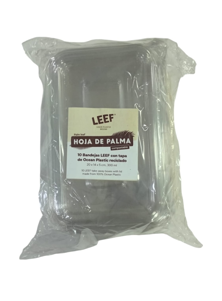 CONTENEDOR RECTANGULAR CON LOGO Y TAPA 20 X 14 X 5  LEEF